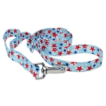 Country Brook Petz® 1 inch Deluxe American Celebration Dog Leash, 6 Foot