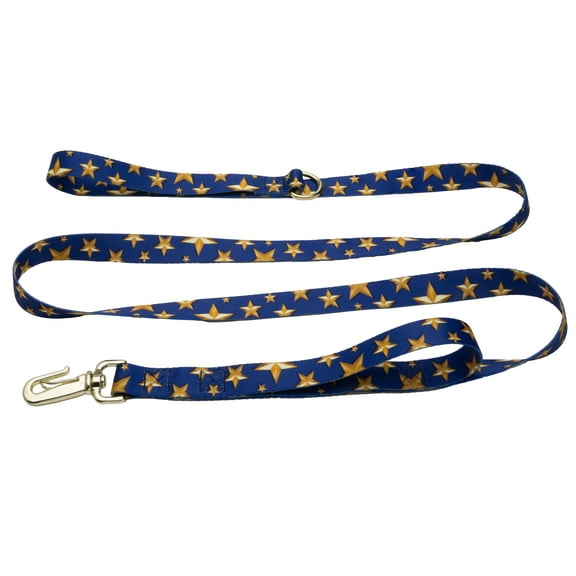 Country Brook Petz® 1 inch Deluxe Duty Honor Country Dog Leash, 6 Foot