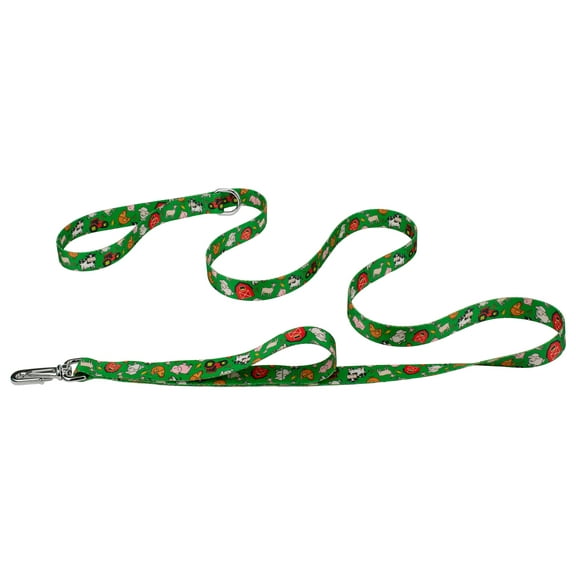 Country Brook Petz® 1 inch Deluxe Farm Life Y'all Dog Leash, 6 Foot