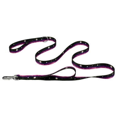 Country Brook Petz® 1 inch Deluxe Heavenly Space Dog Leash, 6 Foot