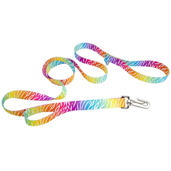 Country Brook Petz® 1 inch Fashion Zebra Dog Leash, 6 Foot