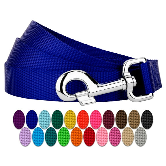 Country Brook Petz® 1 inch Nylon Dog Leash - Bright Royal Blue, 6 Foot