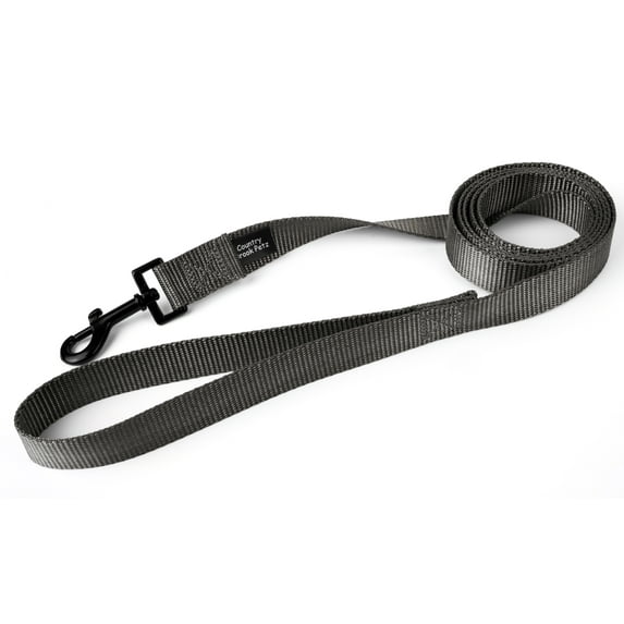 Country Brook Petz® 1 inch Nylon Dog Leash - Charcoal, 4 Foot