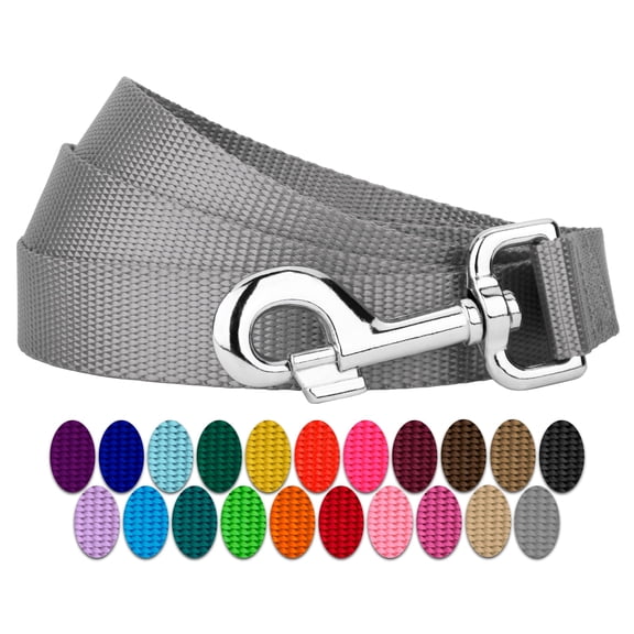 Country Brook Petz® 1 Inch Everyday Nylon Dog Leash (4 Foot, Silver)