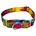 thumbnail image 1 of Country Brook Petz® 1 inch Paint Splatter Martingale Dog Collar, Medium, 1 of 6