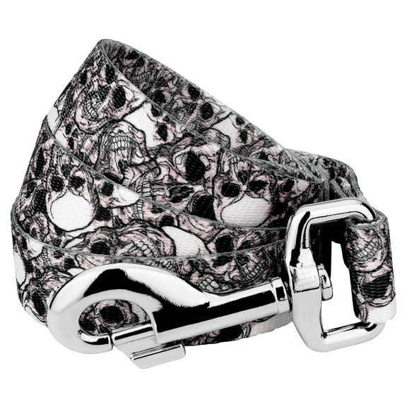 Country Brook Petz® 1 inch Phantom Skulls Dog Leash, 6 Foot
