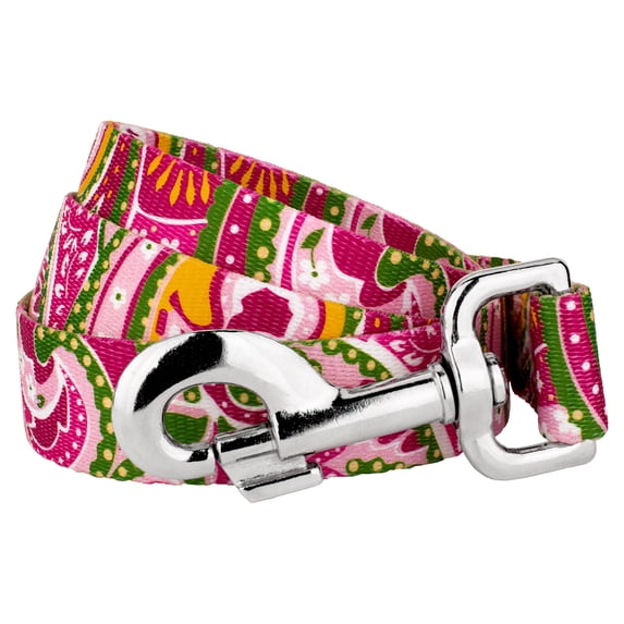 Country Brook Petz® 1 Inch Pink Paisley Everyday Dog Leash, 4 Foot