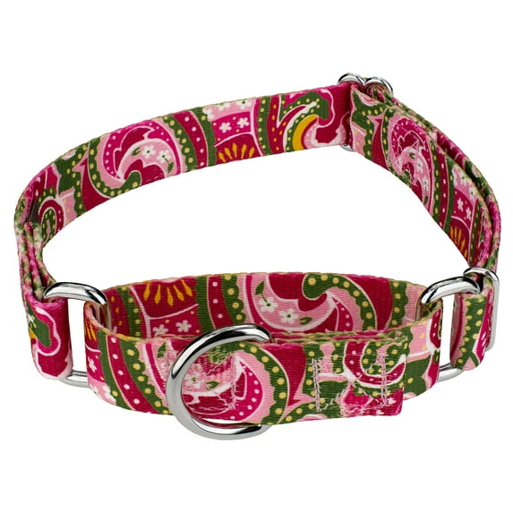 Country Brook Petz® 1 inch Pink Paisley Martingale Dog Collar, Medium