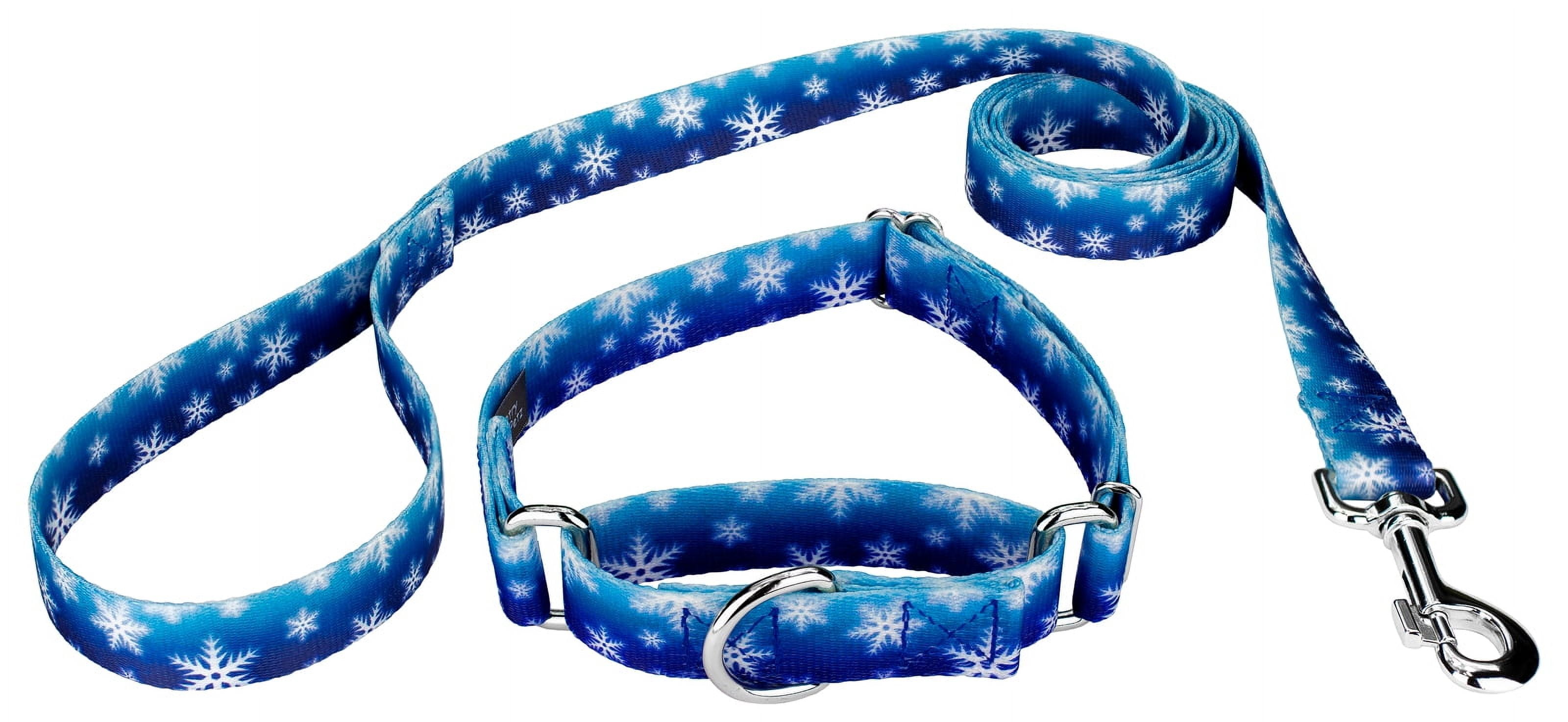 Country Brook Petz® 1 inch Winter Wonderland Martingale Dog Collar and Leash, Medium
