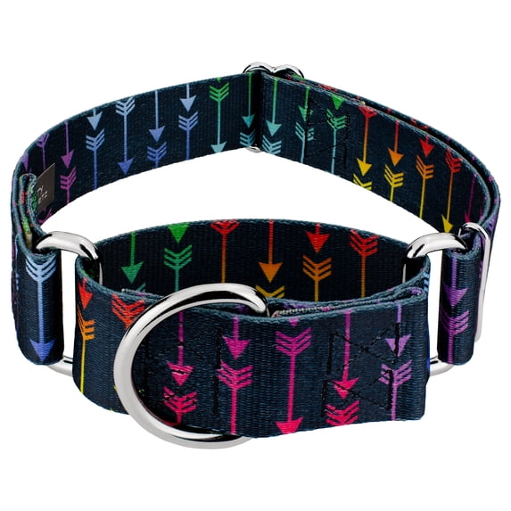 Country Brook Petz® 2 inch Colorful Arrows Martingale Dog Collar, Large