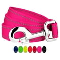 thumbnail image 1 of Country Brook Petz - 3/4 Inch Reflective Nylon Dog Leash, 1 of 5