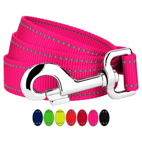 Country Brook Petz - 3/4 Inch Reflective Nylon Dog Leash