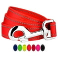 thumbnail image 1 of Country Brook Petz - 3/4 Inch Reflective Nylon Dog Leash, 1 of 5