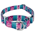 thumbnail image 1 of Country Brook Petz® 3/4 inch Albuquerque Martingale Dog Collar, Medium, 1 of 7