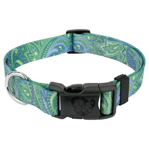 Country Brook Petz® 3/4 inch Deluxe Green Paisley Dog Collar - Made in The U.S.A., Small