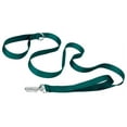 thumbnail image 1 of Country Brook Petz® 3/4 inch Deluxe Nylon Dog Leash, 6 Foot - Teal, 1 of 5