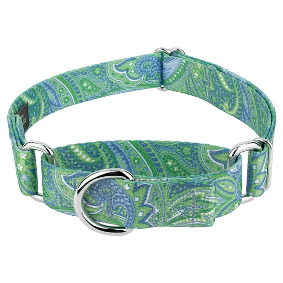 Country Brook Petz® 3/4 inch Green Paisley Martingale Dog Collar, Small