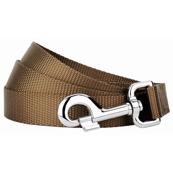 Country Brook Petz® 3/4 inch Nylon Dog Leash - Coyote Tan , 4 Foot