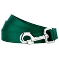 thumbnail image 1 of Country Brook Petz® 3/4 inch Nylon Dog Leash - Green, 4 Foot, 1 of 4