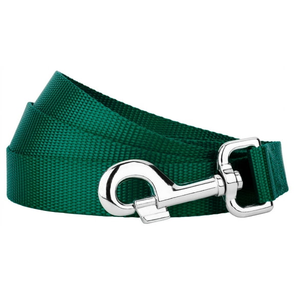 Country Brook Petz® 3/4 inch Nylon Dog Leash - Green, 6 Foot