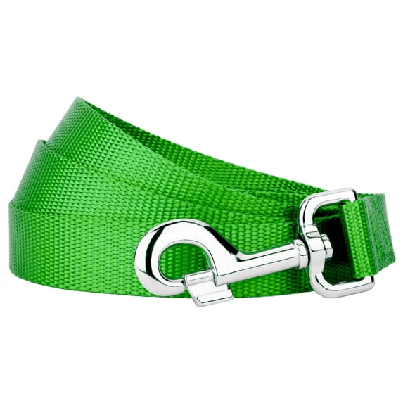 Country Brook Petz® 3/4 inch Nylon Dog Leash - Hot Lime Green, 4 Foot