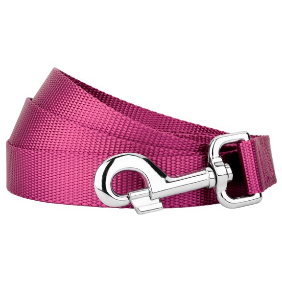 Country Brook Petz® 3/4 inch Nylon Dog Leash - Rose, 6 Foot