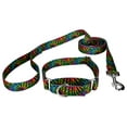 thumbnail image 1 of Country Brook Petz® 3/4 inch Tie Dye Stripes Martingale Dog Collar and Leash, Small, 1 of 7
