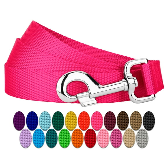 Country Brook Petz® 3/8 inch Nylon Dog Leash - Hot Pink, 4 Foot
