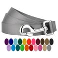 thumbnail image 1 of Country Brook Petz® 3/8 inch Nylon Dog Leash - Silver, 6 Foot, 1 of 5