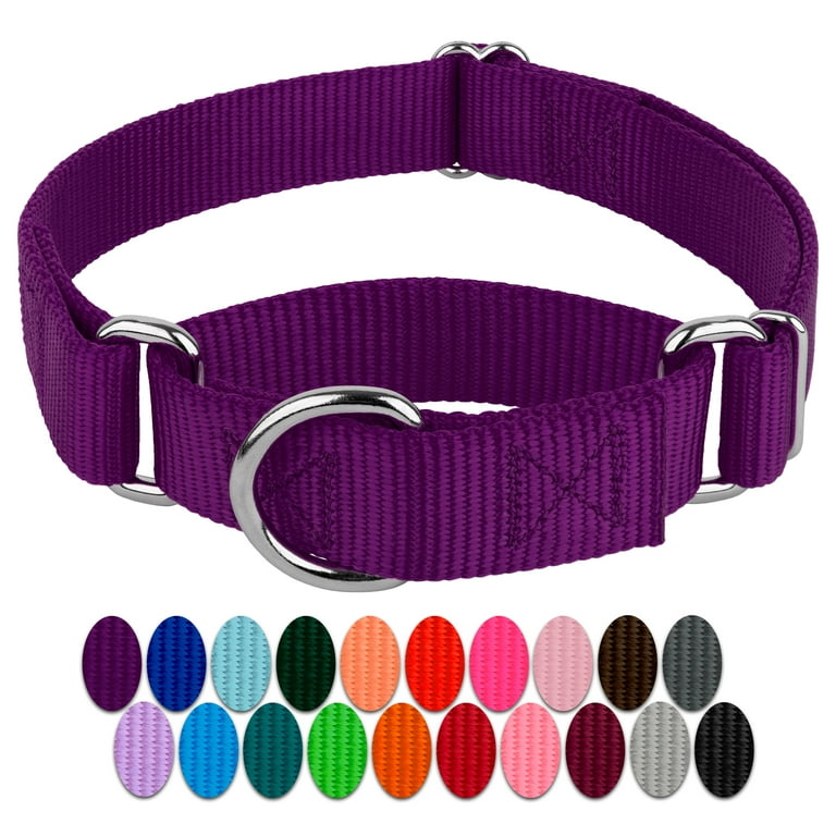 Extra small hotsell martingale dog collar