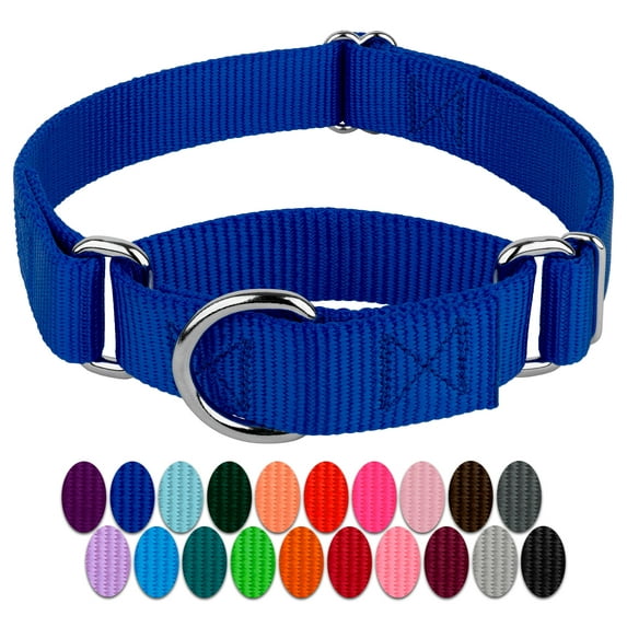 Country Brook Petz® Martingale Dog Collar - Training Collar with No Buckle (Royal Blue, 2XS)