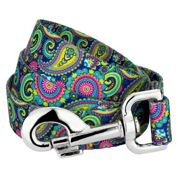 Country Brook Petz® 5/8 inch Bright Paisley Dog Leash, 4 Foot