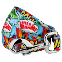 Country Brook Petz® 5/8 inch Comic Pop Dog Leash, 6 Foot