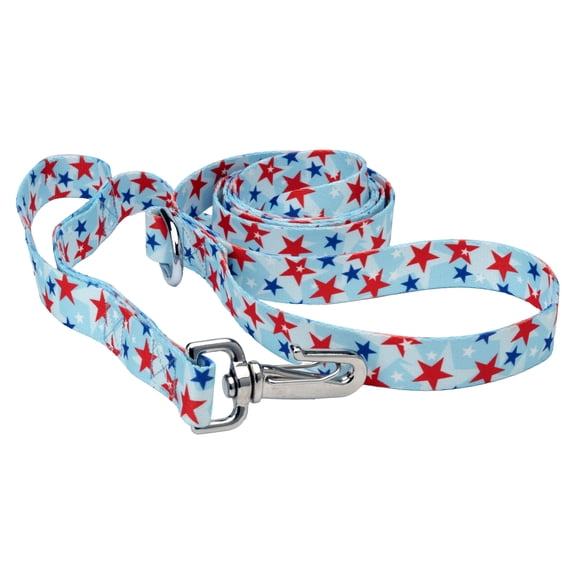 Country Brook Petz® 5/8 inch Deluxe American Celebration Dog Leash, 6 Foot