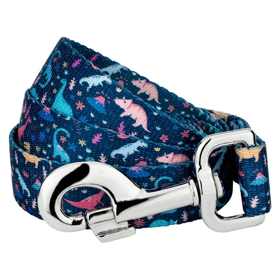 Country Brook Petz® 5/8 inch Dinosaurs Dog Leash, 6 Foot