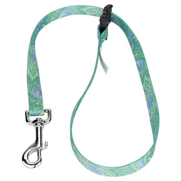 Country Brook Petz­® 5/8 inch Green Paisley Grooming Loop with Quick Release Buckle