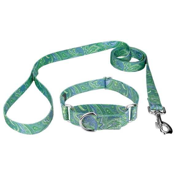 Country Brook Petz® 5/8 inch Green Paisley Martingale Collar and Leash, Small