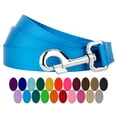 thumbnail image 1 of Country Brook Petz® 5/8 inch Nylon Dog Leash - Ice Blue, 6 Foot, 1 of 4