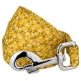 thumbnail image 1 of Country Brook Petz® 5/8 inch Spring Cottagecore Dog Leash, 4 Foot, 1 of 4