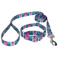 thumbnail image 1 of Country Brook Petz® Albuquerque Martingale Dog Collar and Leash, 2XS, 1 of 7
