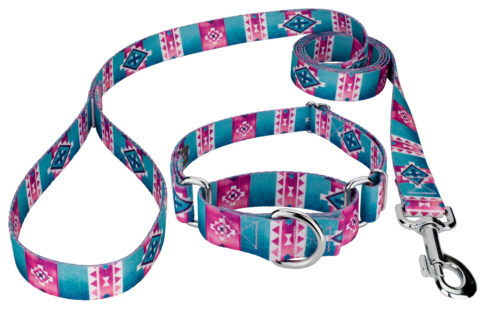 Country Brook Petz® Albuquerque Martingale Dog Collar and Leash, Large