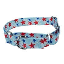 Country Brook Petz® American Celebration Martingale Dog Collar, 2XS