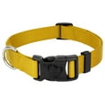 thumbnail image 1 of Country Brook Petz® Everyday Gold Nylon Dog Collar, Extra Large, 1 of 6