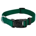 thumbnail image 1 of Country Brook Petz® Everyday Green Nylon Dog Collar, Extra Large, 1 of 5
