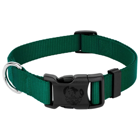 Country Brook Petz® Everyday Green Nylon Dog Collar, Large