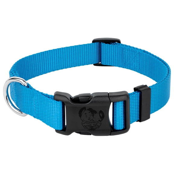 Country Brook Petz Everyday Ice Blue Nylon Dog Collar, Large