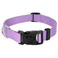 thumbnail image 1 of Country Brook Petz® Everyday Lavender Nylon Dog Collar, 3XS, 1 of 4