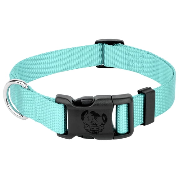 Country Brook Petz® Everyday Light Cyan Nylon Dog Collar, Extra Large