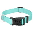 thumbnail image 1 of Country Brook Petz® Everyday Light Cyan Nylon Dog Collar, Medium, 1 of 5