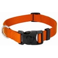 thumbnail image 1 of Country Brook Petz® Everyday Orange Nylon Dog Collar, 2XS, 1 of 5
